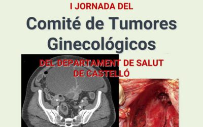 I Jornada del Comité de Tumores Ginecológicos